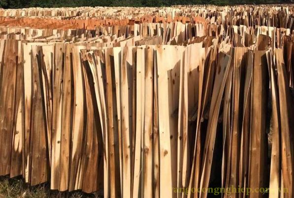 Ván bóc gỗ Bạch Đàn - Ván Lạng Công Nghiệp - Công Ty TNHH Năng Lượng Sạch Quảng Nam